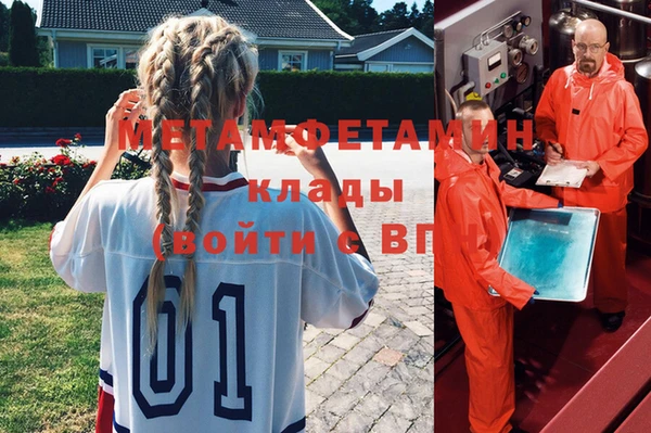 ПСИЛОЦИБИНОВЫЕ ГРИБЫ Гусь-Хрустальный