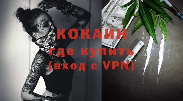 дмт Горняк