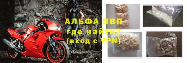 ПСИЛОЦИБИНОВЫЕ ГРИБЫ Гусь-Хрустальный