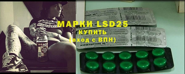 ПСИЛОЦИБИНОВЫЕ ГРИБЫ Гусь-Хрустальный